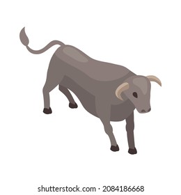 Isometric bullfight composition with isolated image of bull vector illustration