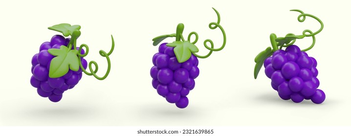 Isometric bunches of ripe purple grapes. Grape bunches with leaves and tendrils. Modern cartoon illustration with shadows. Vector object from different sides