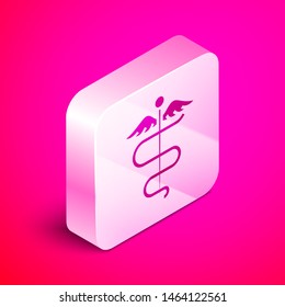 Isometric Caduceus snake medical symbol icon isolated on pink background. Medicine and health care. Emblem for drugstore or medicine, pharmacy. Silver square button. Vector Illustration