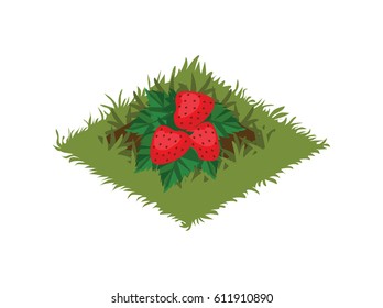 Isometric Cartoon Fruit Garden Bed Planted with Strawberry Bush - Elements for Tileset Map, Landscape Design or Game Object in Colorful Detailed Vector