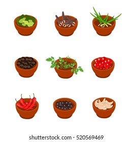 Isometric and cartoon style flavorful spices and condiments icon. Vector illustration. White background.