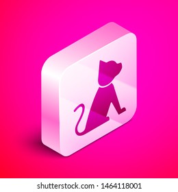 Isometric Cat icon isolated on pink background. Silver square button. Vector Illustration