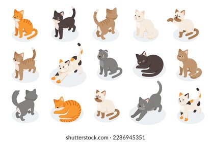 Isometric cats set. Collection of multicolored kittens of different breeds. Pets stand, lie and stretch. Pack of domestic animals activity. Cartoon vector illustrations isolated on white background