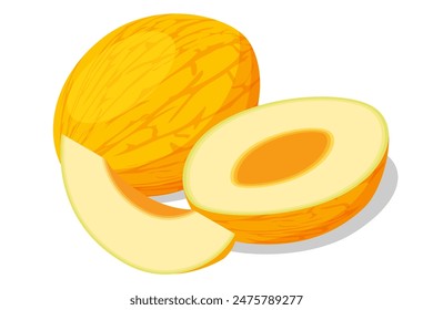 Isometric Cavaillon Melon, Cucumis melon, Fruit. It is a healthy and nutritious food. Ripe fruit.