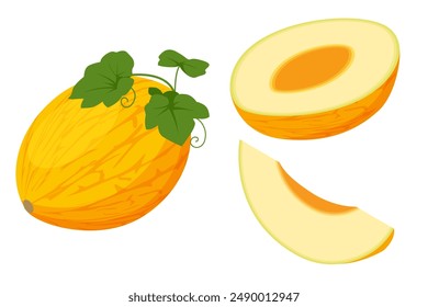 Isometric Cavaillon Melon, Cucumis melon, Fruit. It is a healthy and nutritious food. Ripe fruit