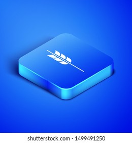 Isometric Cereals set with rice, wheat, corn, oats, rye, barley icon isolated on blue background. Ears of wheat bread symbols. Blue square button. Vector Illustration