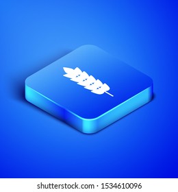 Isometric Cereals set with rice, wheat, corn, oats, rye, barley icon isolated on blue background. Ears of wheat bread symbols. Blue square button. Vector Illustration