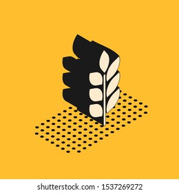 Isometric Cereals set with rice, wheat, corn, oats, rye, barley icon isolated on yellow background. Ears of wheat bread symbols. Agriculture wheat.  Vector Illustration