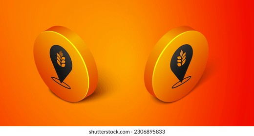 Isometric Cereals set with rice, wheat, corn, oats, rye, barley icon isolated on orange background. Ears of wheat bread symbols. Orange circle button. Vector