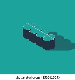 Isometric Chicken egg in box icon isolated on green background.  Vector Illustration