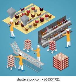 Isometric Chicken Farm Poultry. Organic Eggs Production Line. Vector Flat 3d Illustration