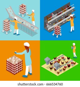 Isometric Chicken Farm Poultry. Organic Eggs Production Line. Work on Birds Plant. Vector flat 3d illustration