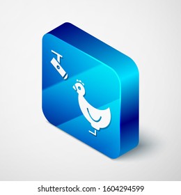 Isometric Chicken farm and wireless Controlling CCTV security camera icon isolated on white background. Blue square button. Vector Illustration