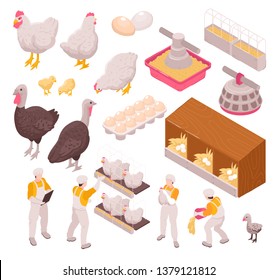 Isometric chicken production poultry farm set with isolated images of human workers and farm animals eggs vector illustration