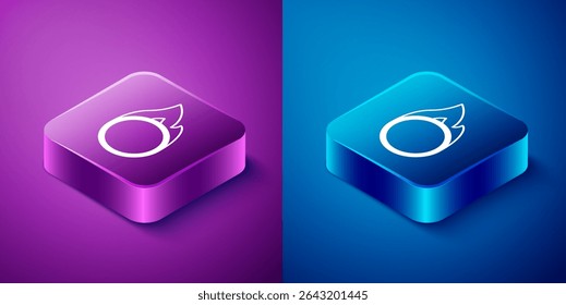 Ícone de aro de fogo do Circo Isométrico isolado no fundo azul e roxo. Anel de fogo. Arredondar quadro de fogo. Botão quadrado. Vetor