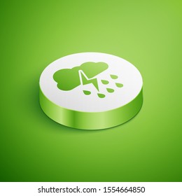 Isometric Cloud with rain and lightning icon isolated on green background. Rain cloud precipitation with rain drops.Weather icon of storm. White circle button. Vector Illustration