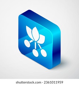 Isometrische Kaffeebohnen, Zweig mit Blatt- und Beerensymbol einzeln auf grauem Hintergrund. Pflanzen mit Blättern, Beeren, Früchten, Samen. Blauer Quadrat-Knopf. Vektorgrafik