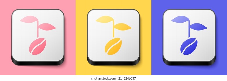 Isometrische Kaffeebohnen Symbol einzeln auf rosafarbenem, gelbem und blauem Hintergrund. Knopf Quadrat. Vektorgrafik