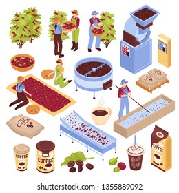 Isometric coffee production set with isolated images representing different stages of coffee bean production with people vector illustration