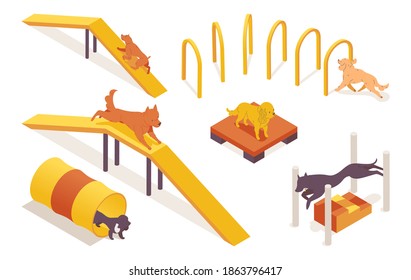 Isometric collection of dogs training on pet agility equipment elements. 3d characters running, jumping and climbing svg