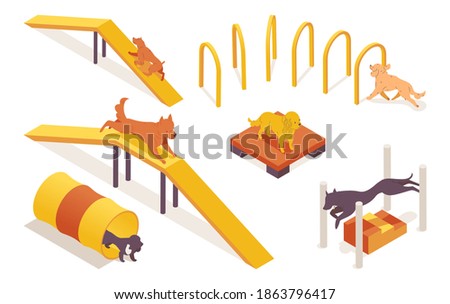 Isometric collection of dogs training on pet agility equipment elements. 3d characters running, jumping and climbing