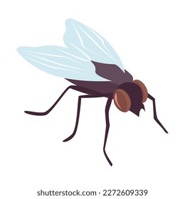 Isometric color fly icon on white background vector illustration