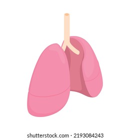 Isometric color healthy human lungs on white background 3d vector illustration