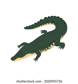 Isometric color icon with crocodile 3d vector illustration