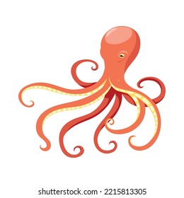 Isometric color octopus 3d icon on white background vector illustration