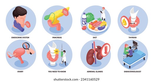 Isometric and colored endocrinologist composition set endocrine system pancreas diet thyroid ovary descriptions vector illustration