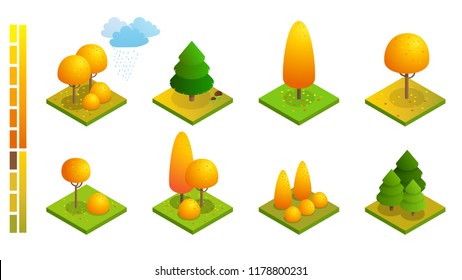 Isometric colorful autumn trees set. Yellow orange fall tree and autumnal garden flat illustration. For infographics, game, and design