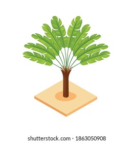 Isometric composition with decorative plant isolated on blank background vector illustration