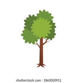 Isometric composition with image of single tree with leaves and trunk vector illustration