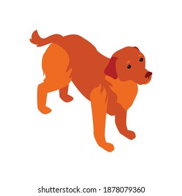 Isometric composition with isolated image of dog on blank background vector illustration