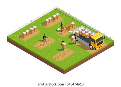 Isometric composition of scene with workers installing hives for beekeeping apiary on grass with flowers vector illustration