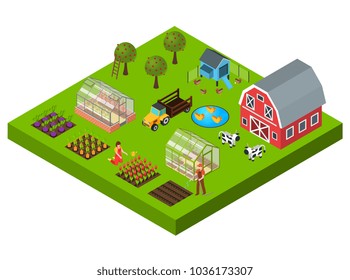 Isometric concept with big farm yard vegetable and flower beds cattle greenhouse barn 3d vector illustration