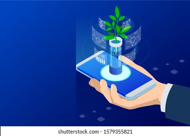 Isometric concept of laboratory exploring new methods of plant breeding and agricultural genetics. Plants growing in the test tubes.