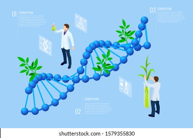 Isometric concept of laboratory exploring new methods of plant breeding and agricultural genetics. Plants growing in the test tubes.