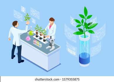 Isometric concept of laboratory exploring new methods of plant breeding and agricultural genetics. Plants growing in the test tubes.