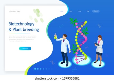 Isometric concept of laboratory exploring new methods of plant breeding and agricultural genetics. Plants growing in the test tubes.