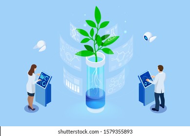 Isometric concept of laboratory exploring new methods of plant breeding and agricultural genetics. Plants growing in the test tubes.