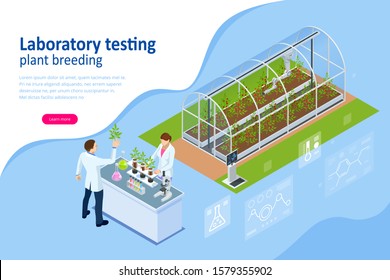 Isometric concept of laboratory exploring new methods of plant breeding and agricultural genetics. Plants growing in the test tubes.