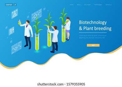 Isometric concept of laboratory exploring new methods of plant breeding and agricultural genetics. Plants growing in the test tubes.