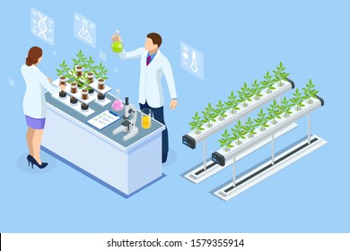 Isometric concept of laboratory exploring new methods of plant breeding and agricultural genetics. Plants growing in the test tubes.