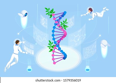 Isometric concept of laboratory exploring new methods of plant breeding and agricultural genetics. Plants growing in the test tubes.