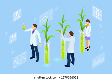 Isometric concept of laboratory exploring new methods of plant breeding and agricultural genetics. Plants growing in the test tubes.