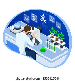 Isometric concept of laboratory exploring new methods of plant breeding and agricultural genetics. Plants growing in the test tubes. Organic food ,agriculture and hydroponic
