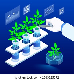 Isometric concept of laboratory exploring new methods of plant breeding and agricultural genetics. Plants growing in the test tubes. Organic food ,agriculture and hydroponic