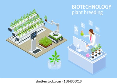 Isometric concept of laboratory exploring new methods of plant breeding and agricultural genetics. Vegetable hydroponic system, agriculture in the greenhouse organic for health food