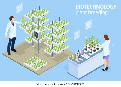 Isometric concept of laboratory exploring new methods of plant breeding and agricultural genetics. Vegetable hydroponic system, agriculture in the greenhouse organic for health food